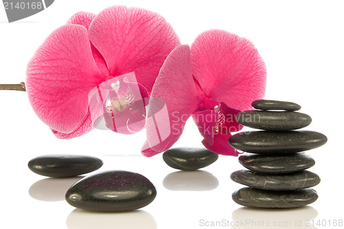 Image of pebbles with beautiful orchid