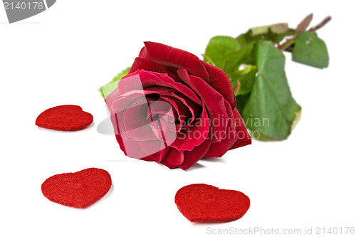 Image of red rose with hearts