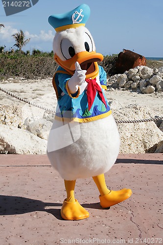 Image of ORLANDO, FL- FEB 5:  Donald duck dressed as a captain walking ar