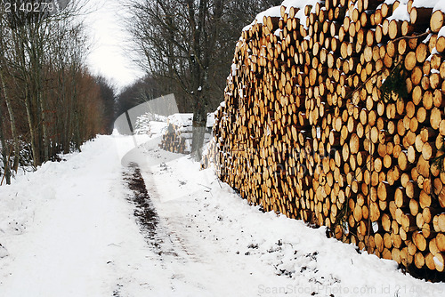 Image of Timberstacks