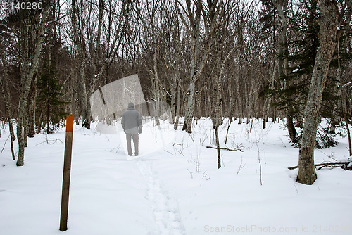 Image of Winter hike