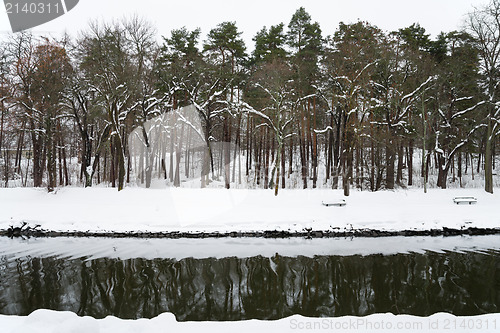 Image of Winter landscape, trees growing by a calm river