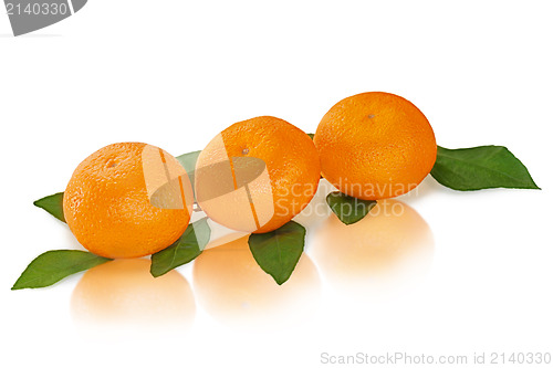 Image of fresh tangerines with green leaves isolated on white background