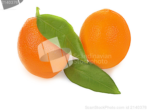 Image of ripe orange fruits with leaves isolated on white background