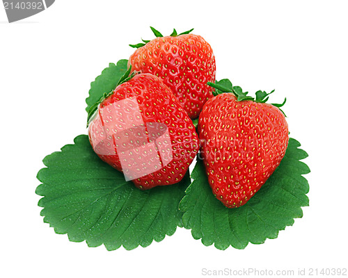 Image of red ripe strawberries isolated on white background