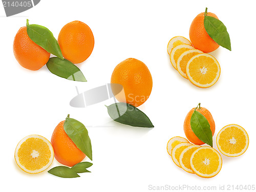 Image of set of fresh ripe orange fruits with cut and green leaves isolat