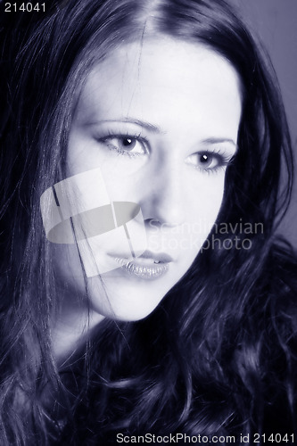 Image of Portrait