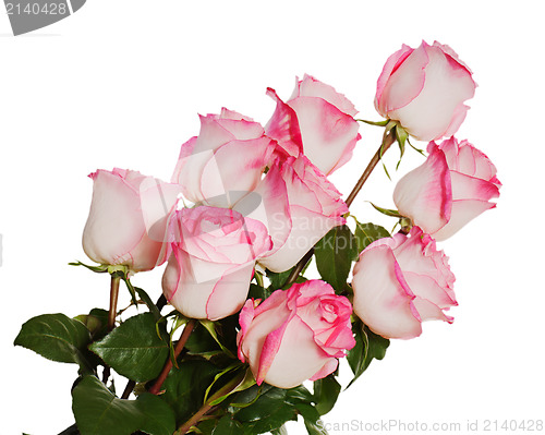 Image of colorful flower bouquet from roses a isolated on white backgroun