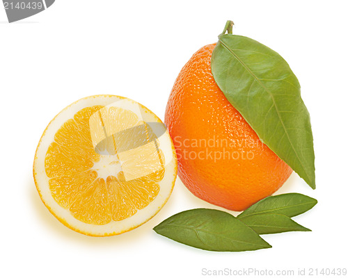 Image of fresh ripe orange fruits with cut and green leaves isolated on w