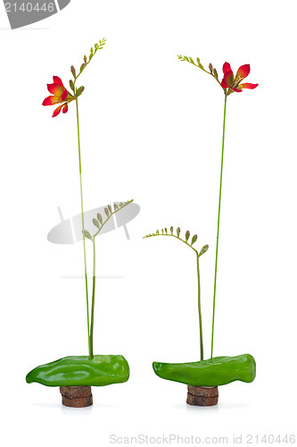 Image of abstract composition of freesia and sweet green pepper on a wood