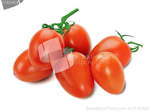 Image of red tomatoes on the vine isolated on white background