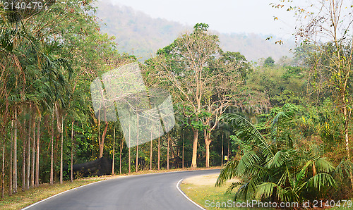 Image of asphalt road