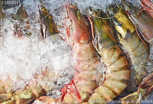 Image of tiger prawns