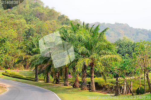 Image of asphalt road