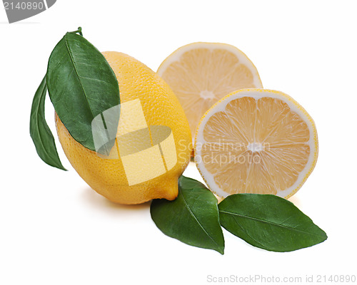 Image of fresh lemon citrus with cut and green leaves isolated on white b