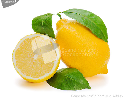 Image of fresh lemon citrus with cut and green leaves isolated on white b