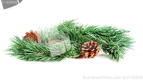 Image of wreath of fir branches isolated on white background, selective f