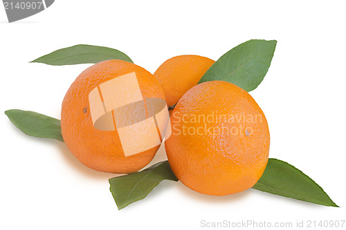 Image of fresh tangerines with green leaves isolated on white background