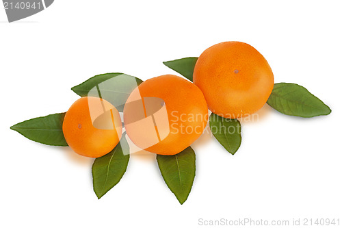 Image of fresh tangerines with green leaves isolated on white background