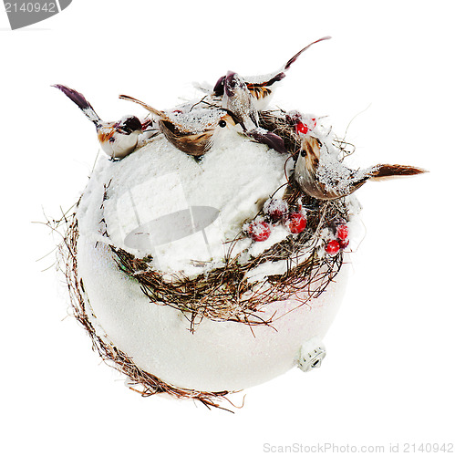 Image of New Year's composition from birds, mountain ashes, snow and a wh
