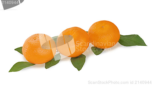 Image of fresh tangerines with green leaves isolated on white background