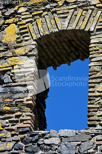 Image of  old window and bush 