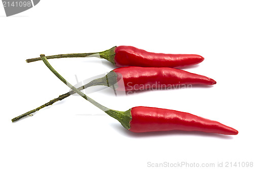 Image of Red Chilli 