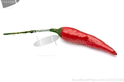 Image of Red Chilli