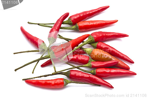 Image of Red Chilli