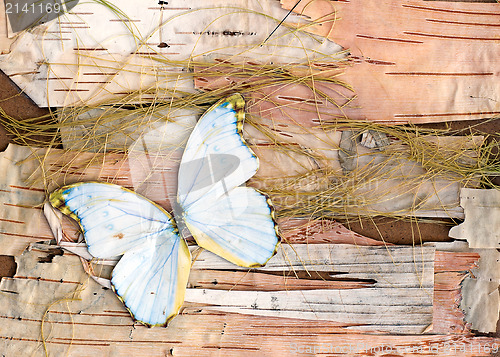 Image of abstract composition from butterflies, birch bark and straw