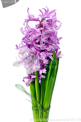 Image of colorful bouquet from hyacinth arrangement centerpiece isolated 