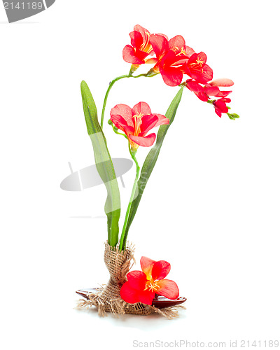 Image of still life from artificial flowers of a freziya