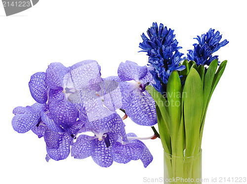 Image of colorful bouquet from hyacinth and orchidea arrangement centerpi