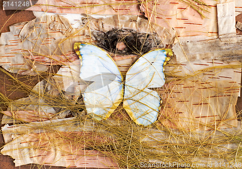 Image of abstract composition of butterflies, birch bark and straw