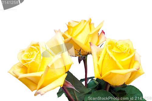 Image of colorful flower bouquet from yellow roses isolated on white back