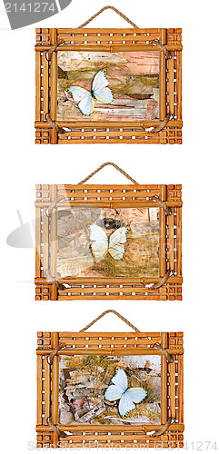 Image of three bamboo photo frames with abstract composition of butterfli