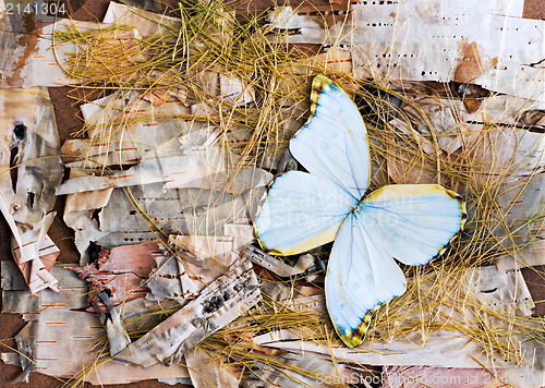 Image of abstract composition of butterflies, birch bark and straw