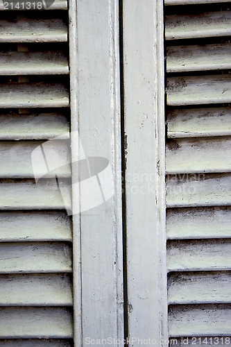 Image of white wood venetian blind