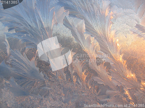 Image of Ice pattern on glass