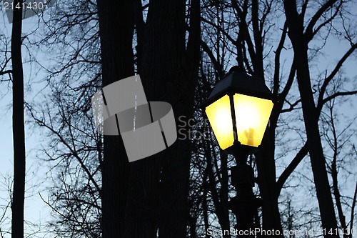 Image of Street light and silhouettes of trees