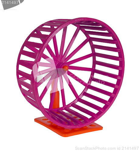 Image of Wheel for rodents