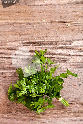 Image of bunch of fresh parsley