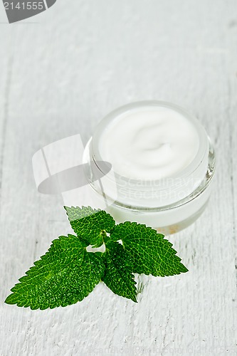 Image of face cream in glass jar with green leaf of urtica
