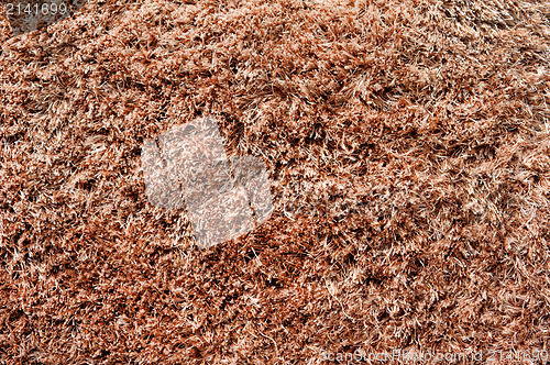 Image of Carpet or rug texture 