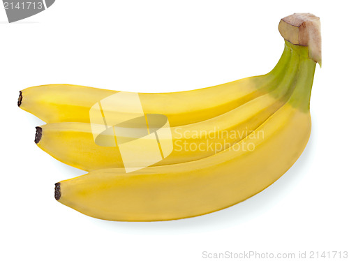 Image of bunch of three bananas isolated on white background