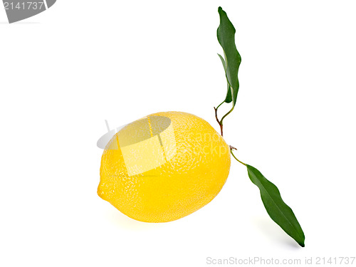 Image of yellow ripe lemon with leaves isolated on a white background