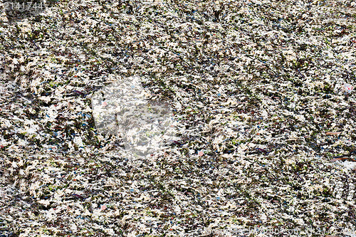 Image of abstract background from dry seaweed and colorful sea pebbles