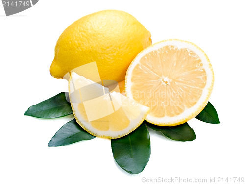 Image of fresh lemon citrus with cut and green leaves isolated on white b