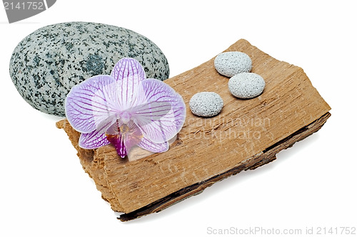 Image of still life with orchid and stones on a grunge wood  