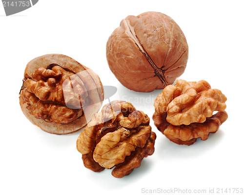 Image of walnut and a cracked walnut isolated on the white background 